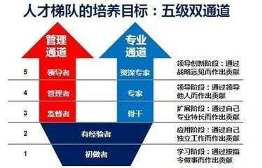 二四六香港资料期期中准,数据导向策略实施_运动版42.125