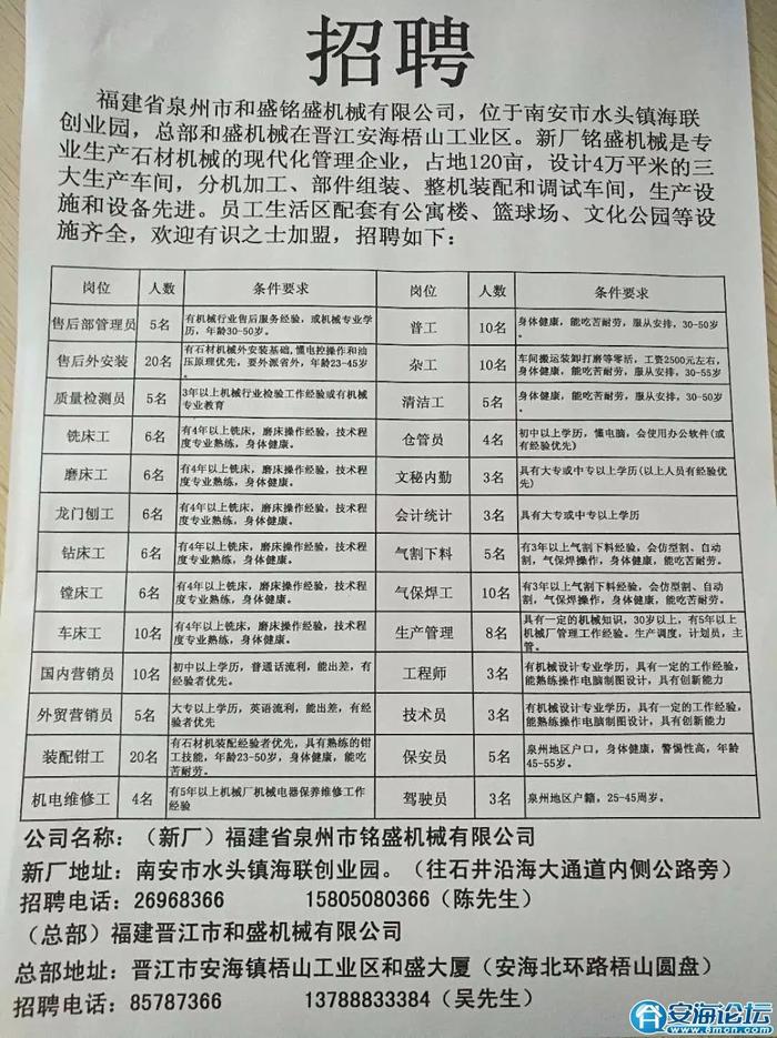 温岭招聘网最新招聘动态深度解析与解读